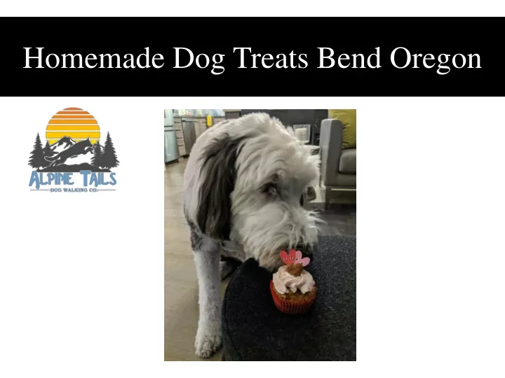 homemade dog treats bend oregon