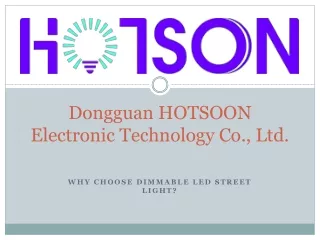 Dimmable LED Street Light at fsfortune.com