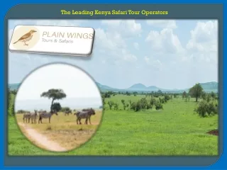 The Leading Kenya Safari Tour Operators