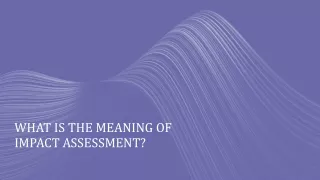 what is the meaning of impact assessment