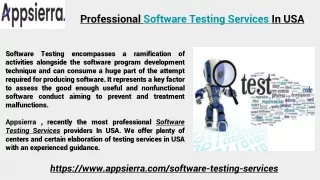 professional software testing services in usa