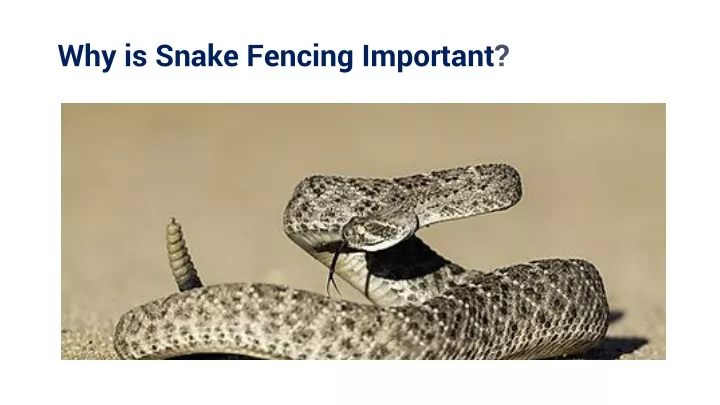 why is snake fencing important why is snake fencing important