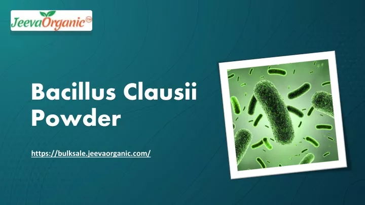 bacillus clausii powder