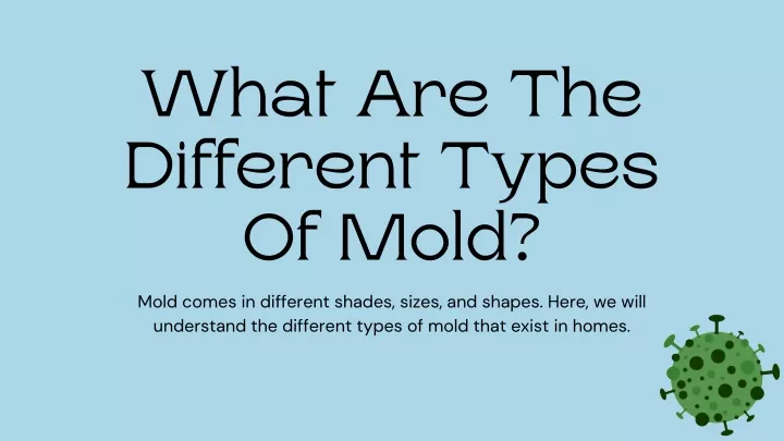 what are the different types of mold