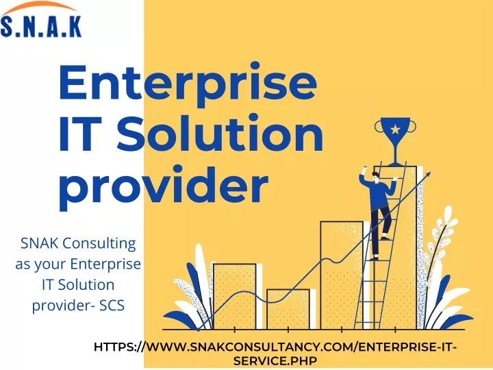 enterprise it solution provider