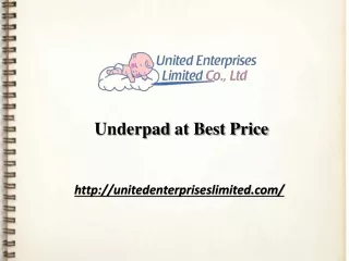 Underpad at Best Price | unitedenterpriseslimited.com