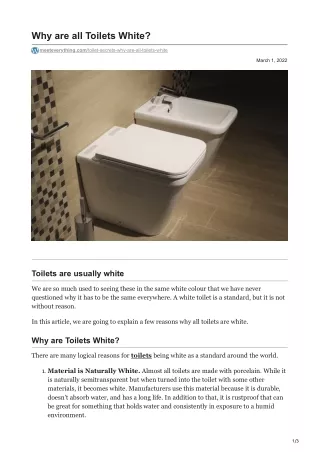 why are all toilets white