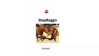 StopBuggn
