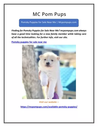 Pomsky Puppies for Sale Near Me  Mcpompups.com