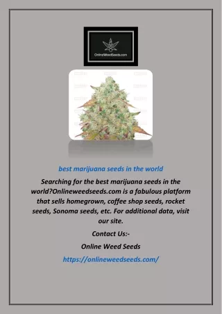 Best Marijuana Seeds In The World | Onlineweedseeds.com