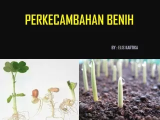 Perkecambahan Benih