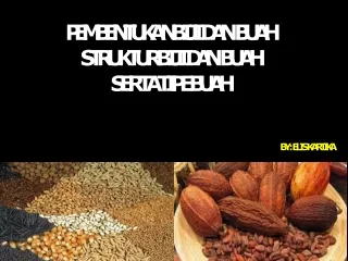 Pembentukan biji dan buah