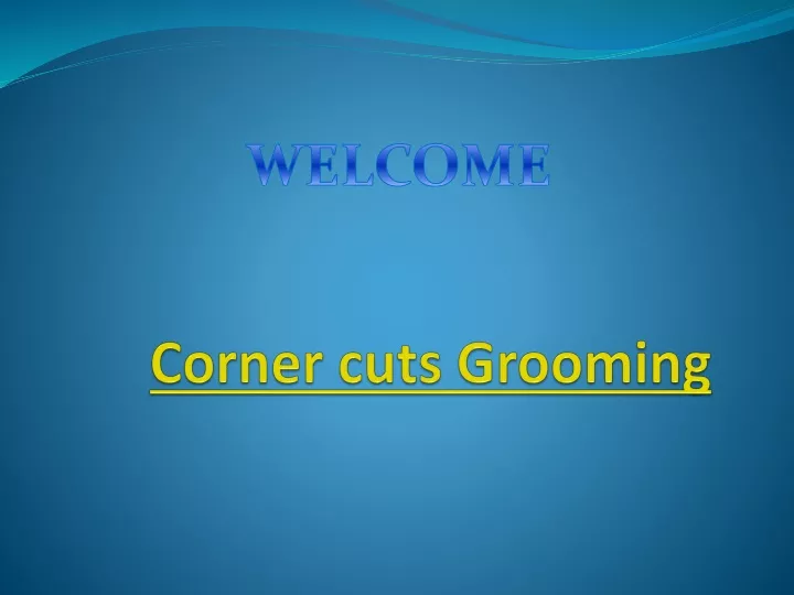 corner cuts grooming