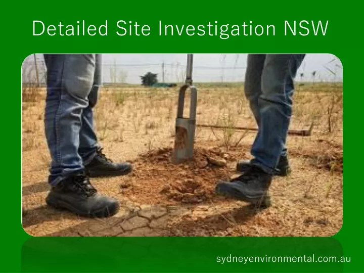 detailed site investigation nsw