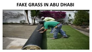fake grass in abu dhabi
