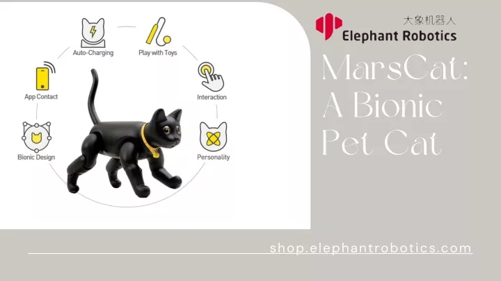 marscat a bionic pet cat