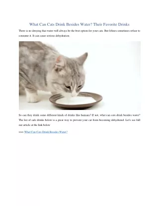 What Can Cats Drink Besides Water?