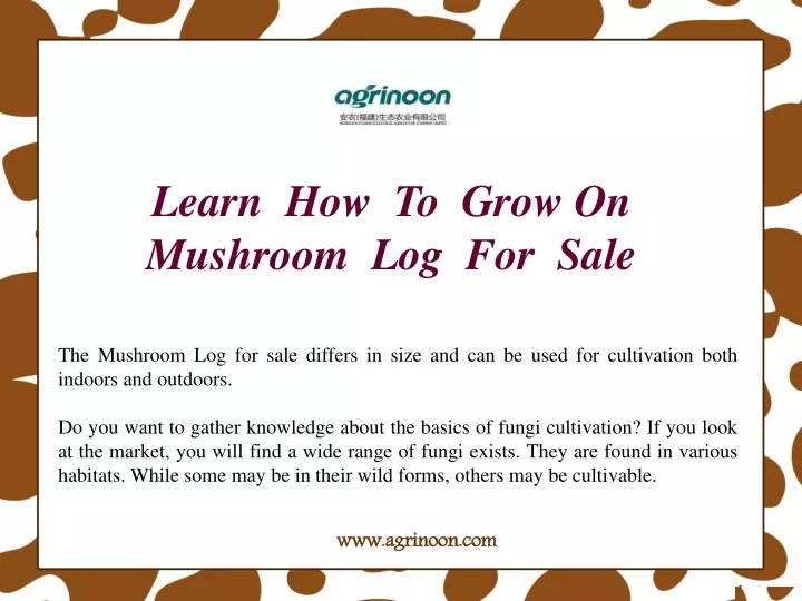 learn how to grow on mushroom log for sale