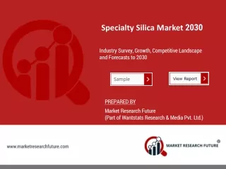 Specialty Silica Market