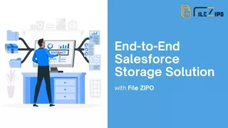 End-to-End Salesforce Storage Solution by File ZIPO