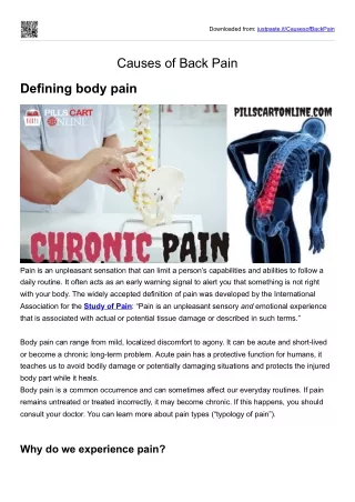 Causes of Chronic Pain