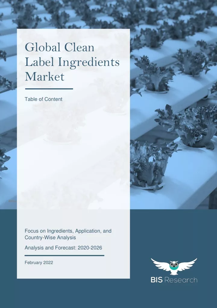 global clean label ingredients market