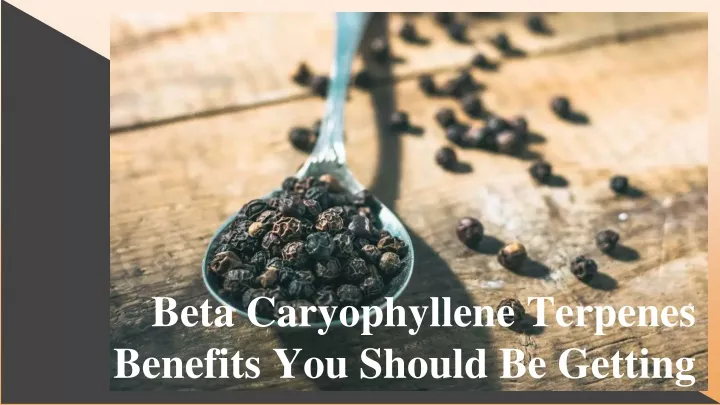 beta caryophyllene terpenes benefits you should