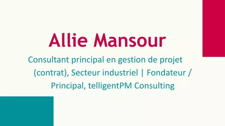 allie mansour consultant principal en gestion