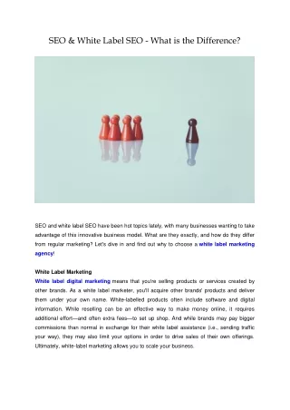 SEO & White Label SEO - What is the Difference?