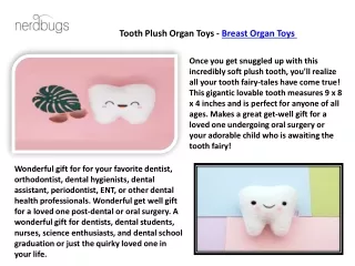 Breast Plush Toys - Breast Organ Toys - Nerdbugs LLC & Nerdbugs Plush Toy Organs