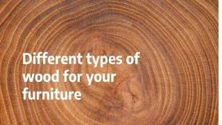 Different types of wood for your furniture