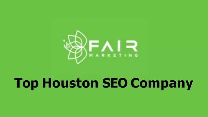 top houston seo company