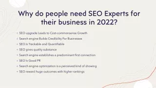 why do people need seo experts for their business in 2022