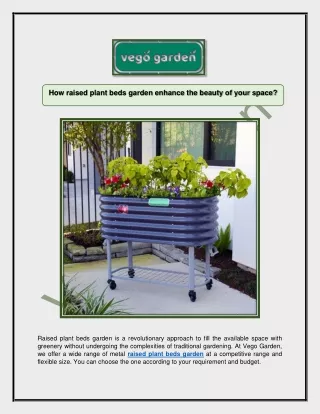 How raised plant beds garden enhance the beauty of your space?