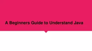 a beginners guide to understand java
