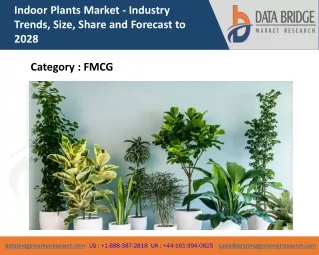 indoor plants market industry trends size share