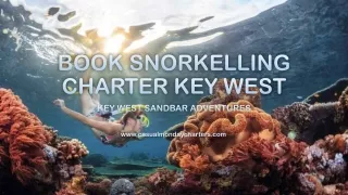 Book Snorkelling Charter Key West, Casual Monday Charters