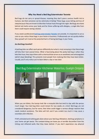 Why You Need a Bed Bug Exterminator Toronto
