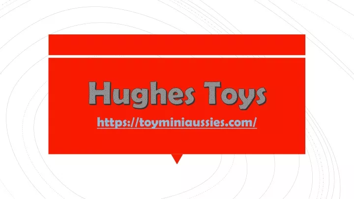 hughes toys