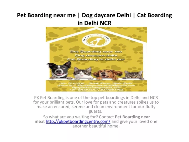 pet boarding near me dog daycare delhi cat boarding in delhi ncr