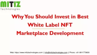 Why You Should Invest in Best White Label NFT Marketplace Development