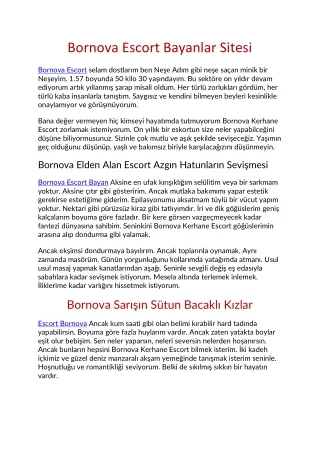 bornova escort bayanlar sitesi