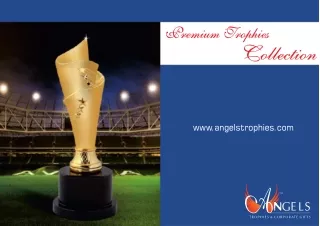 Angels Trophies AN Series Trophies Catalogue - Awards & Trophies Manufacturer