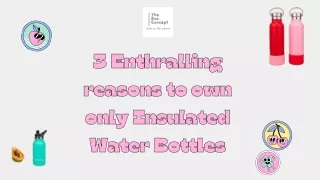 3 Enthralling Reasons To Own Only Insulated Water Bottles