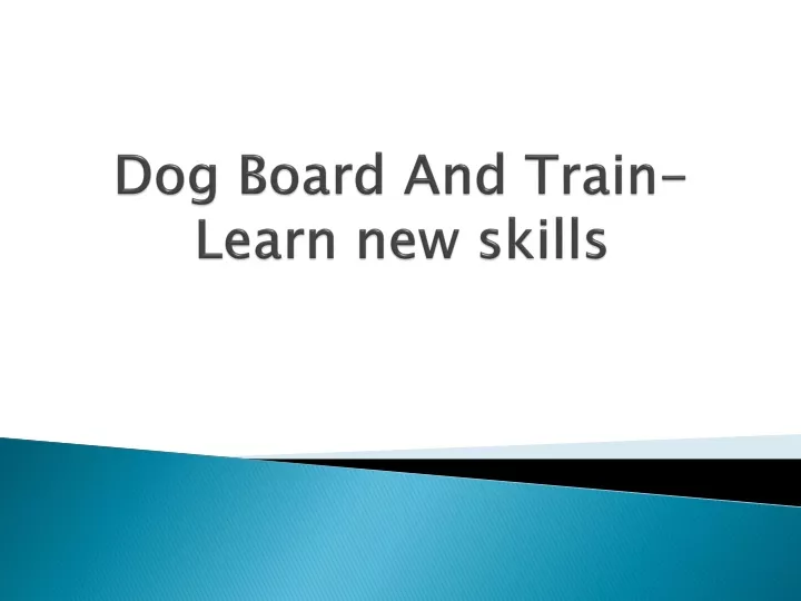 dog board and train learn new skills