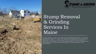 Stump Removal And Grinding Services In Maine