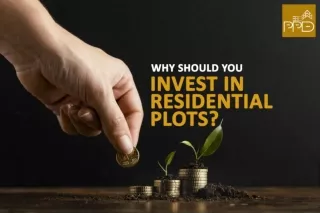 Why Should You Invest in Residential Plots? | Residential Plots in Trivandrum | PPD