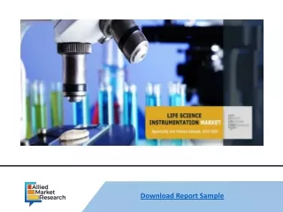download report sample