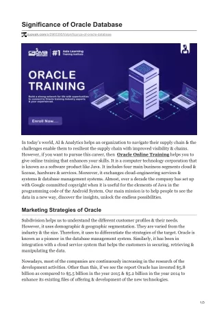 significance of oracle database