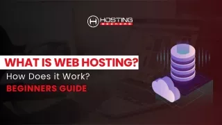 what is web hosting
